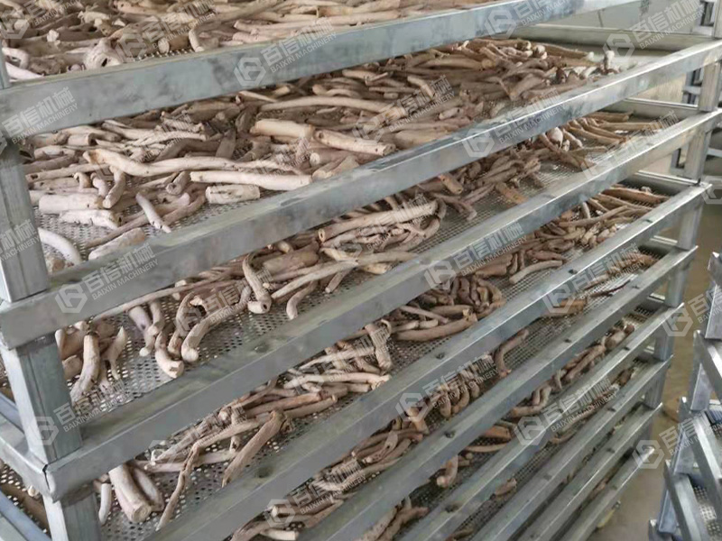 白術(shù)烘干機(jī)2